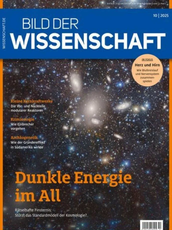 14 x BILD DER WISSENSCHAFT Zeitschrift (Gutschein für Jahres Abo)