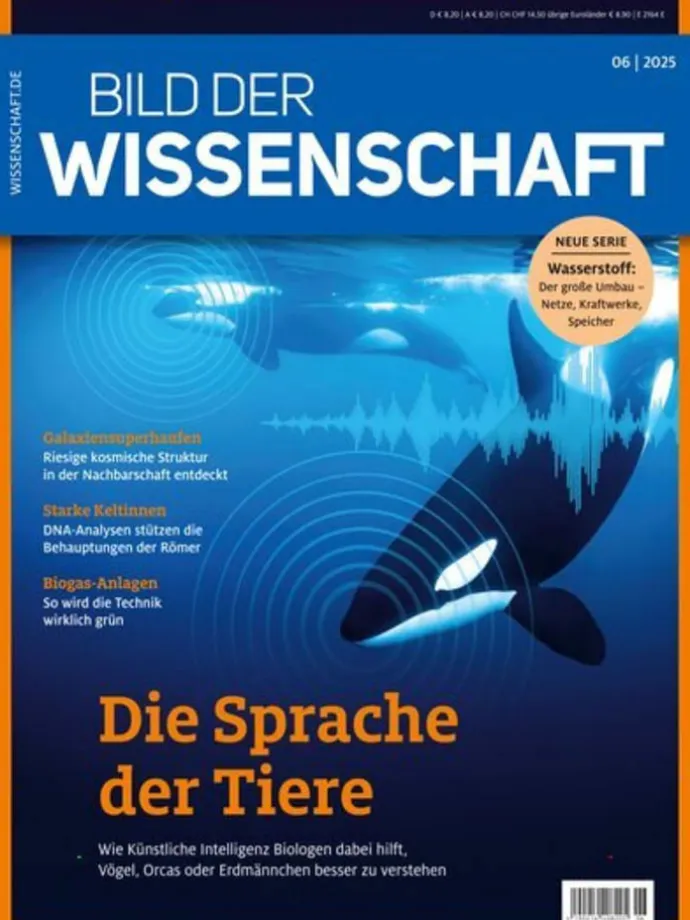 14 x BILD DER WISSENSCHAFT Zeitschrift (Gutschein für Jahres Abo)