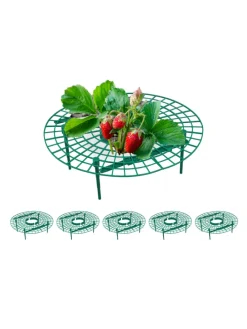 6 x Erdbeerreifer in Grün
