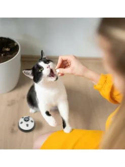 4 x Haustier Trainingsglocke in Bunt - (H)4,5 x Ø 7 cm