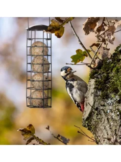 10 x Meisenknödelhalter in Grau - (H)31 x Ø 8,5 cm