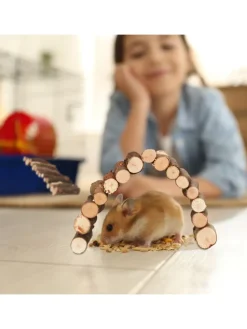 2 x Nagerbrücke in Natur