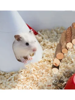 3 x Nagerbrücke in Natur - (B)10 x (T)22 cm