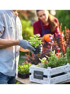 10 x Pflanzenschilder 