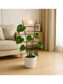 2 x Pflanzenstütze in Schwarz - (B)35 x (H)79 cm