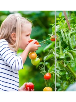 2 x Rankhilfe in Grau - (H)120 x Ø 30 cm