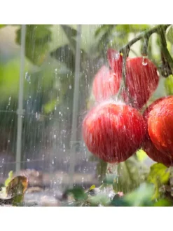 2 x Rankhilfe in Grau - (H)76 x Ø 28 cm