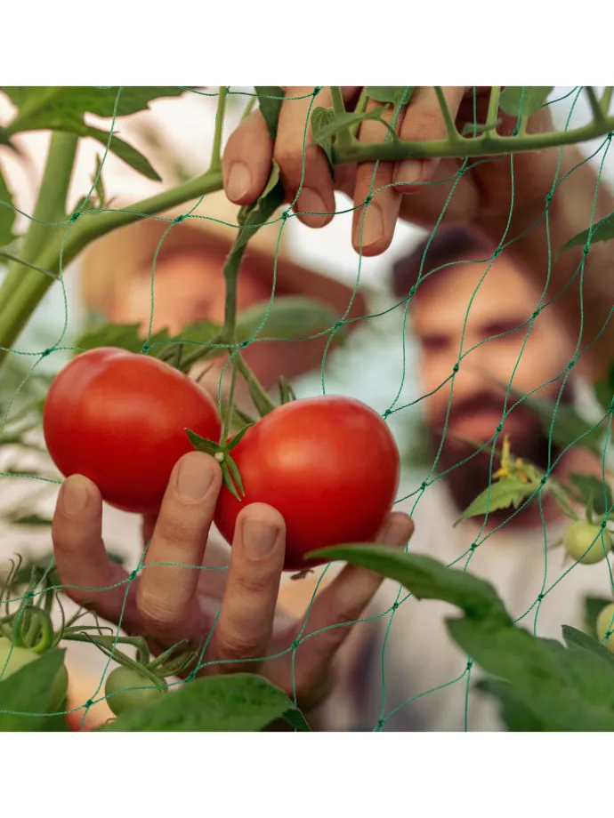 4 x Ranknetz in Grün - (B)350 x (H)200 cm