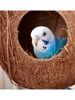 2 x Vogelhaus in Natur