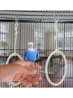 2 x Vogelschaukel-Ring in Natur - Ø 15 cm