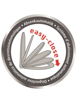 Absenkautomatik-WC-Sitz 