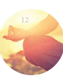 Adventskalender in der Dose. 24 kleine Yoga-Auszeiten für den Advent