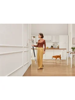 Akku-Staubsauger ''U10'' in Beige