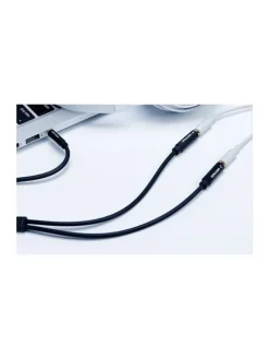 Audio-Kabel - Audio 3,5mm Stecker auf 2x 3,5mm Buchse 0,3m (schwarz)