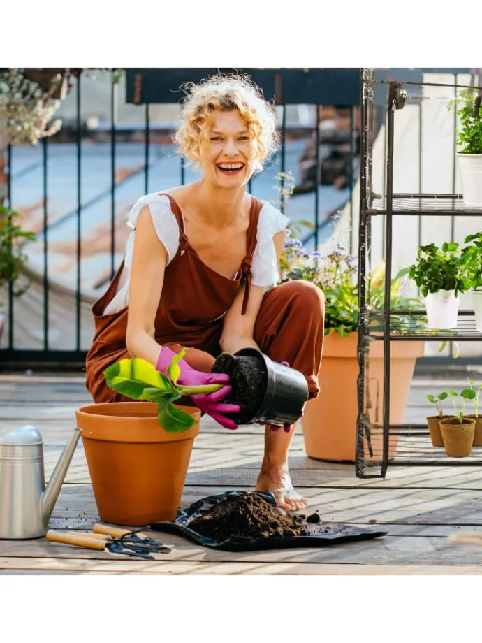 Balkongewächshaus in Schwarz/ Transparent - (B)59 x (H)126 x (T)37 cm