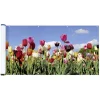 Balkonsichtschutz ''Tulip Meadow'' in Bunt - (L)85 x (B)500 cm