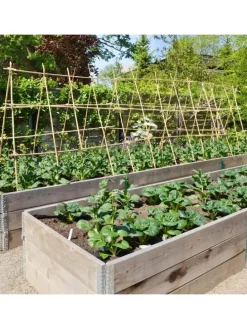 Bambusstäbe 120 cm in Braun