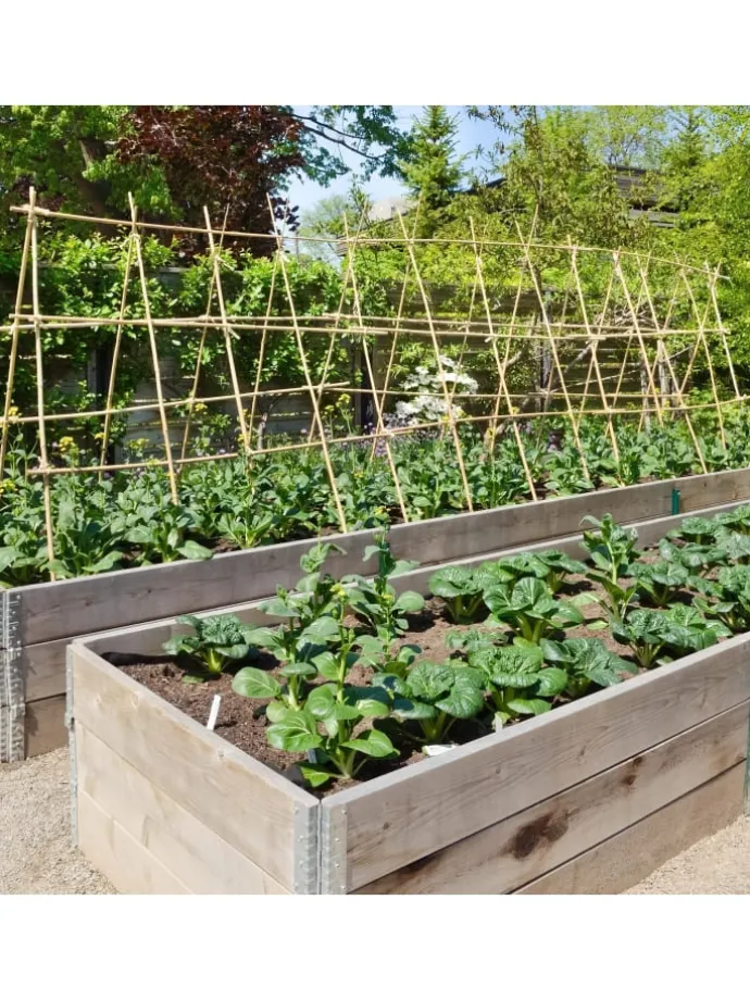 Bambusstäbe 120 cm in Braun