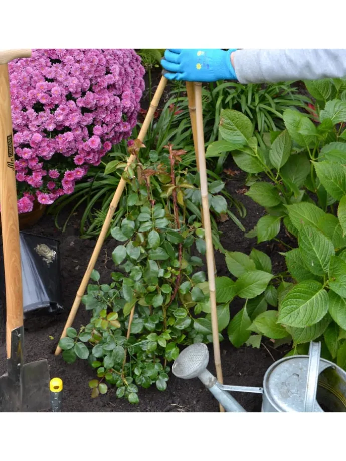 Bambusstäbe 120 cm in Braun