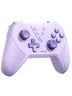 Bluetooth Controller, Switch Controller mit 6-Axis Motion in Lila