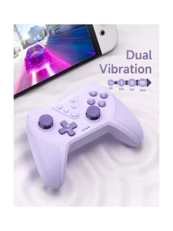 Bluetooth Controller, Switch Controller mit 6-Axis Motion in Lila