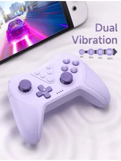 Bluetooth Controller, Switch Controller mit 6-Axis Motion in Lila