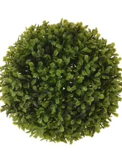 Buchsbaum in grün