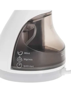 Dampfglätter in Grau