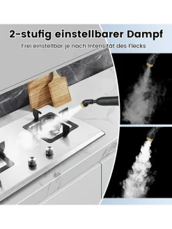 Dampfreiniger 1500W Aufheizzeit 10s in Weiß