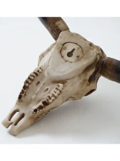 Deko Schädel Stier C15
