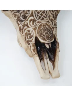 Deko Schädel Stier C15