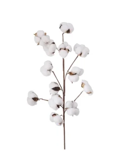 Dekozweig "Baumwolle" in Weiß - (B)16 x (H)68 cm