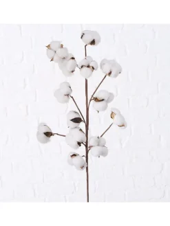Dekozweig "Baumwolle" in Weiß - (B)16 x (H)68 cm