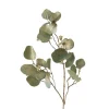 Dekozweig "Eukalyptus" in Grün - (B)30 x (H)82 cm