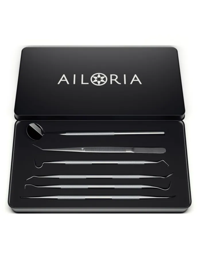 DENT DELUXE Zahnpflegeset in silber