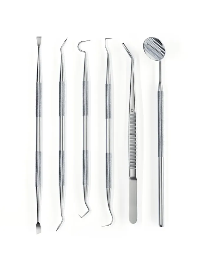 DENT DELUXE Zahnpflegeset in silber