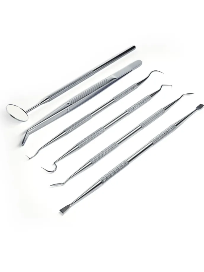 DENT DELUXE Zahnpflegeset in silber