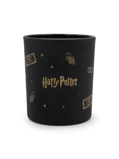 Duftkerze "Harry Potter Magical Owl" in Schwarz - 135 g