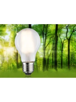 Eco-Line Filament 230V LED Birne 1er-Set A