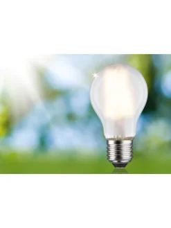 Eco-Line Filament 230V LED Birne 1er-Set A