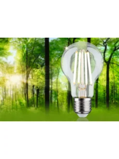 Eco-Line Filament 230V LED Birne 1er-Set A