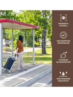 Einkaufstrolley ca. 45 x 96 x 33,5 cm (B/H/T)