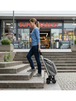 Einkaufstrolley in Grau - 45 l