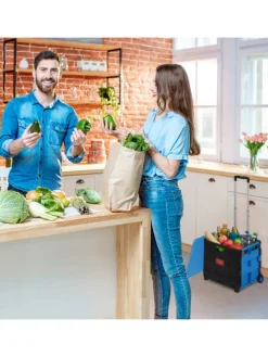 Einkaufstrolley in Grün/ Schwarz