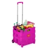 Einkaufstrolley in Pink