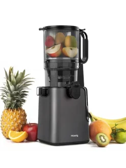 Entsafter GSX26 in Schwarz