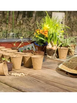 80er Set: Anzuchttöpfe in Beige