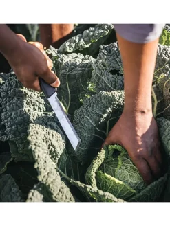 Erntemesser X-series" in Schwarz/ Orange