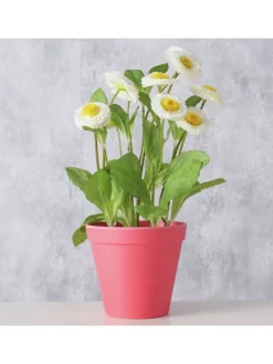 2er-Set: Übertöpfe "Giardino" in Pink - (H)9,5 Ø 11 cm