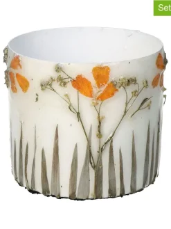 3er-Set: Blumentöpfe "Dried Flowers" in Creme - (H)8 x Ø 9 cm